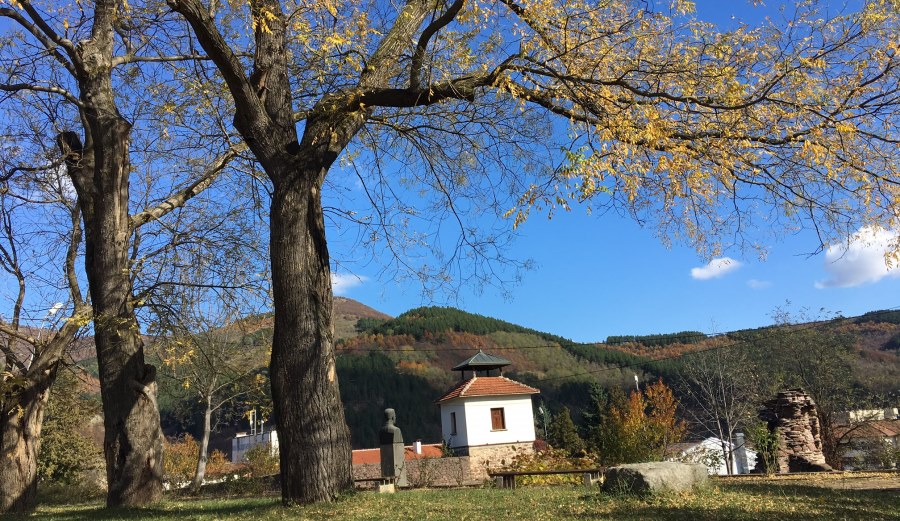 beutiful_autumn_day_chiprovtsi